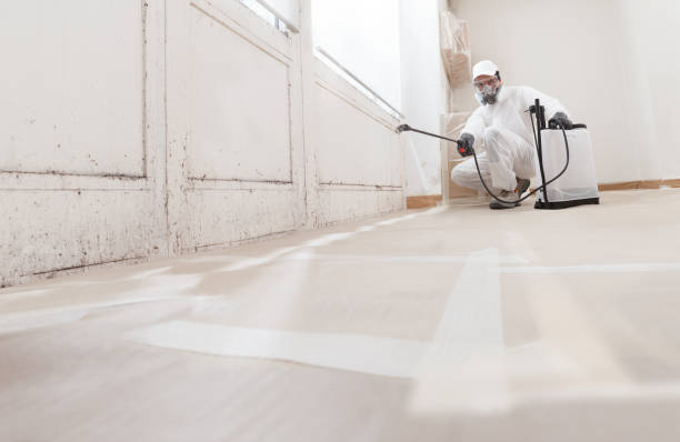 24/7 Emergency Basement Mold Remediation experts in Fair Haven, NJ